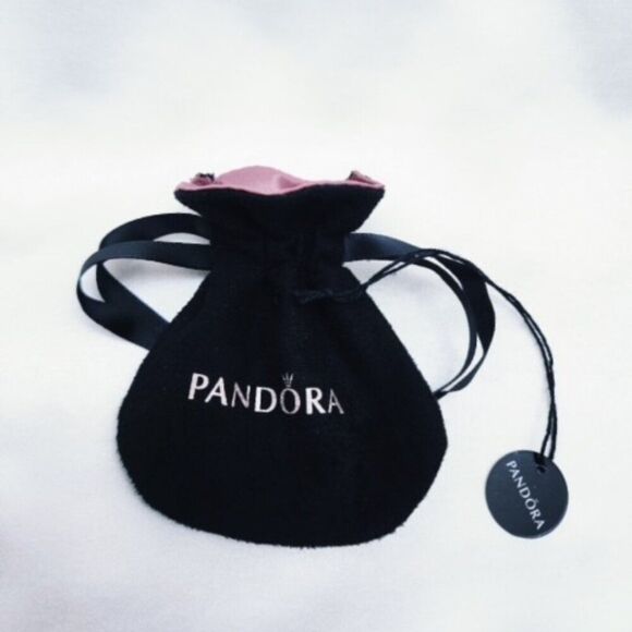 Pandora Spinning Lucky Charm - Picture 4 of 4